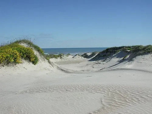 South Texas